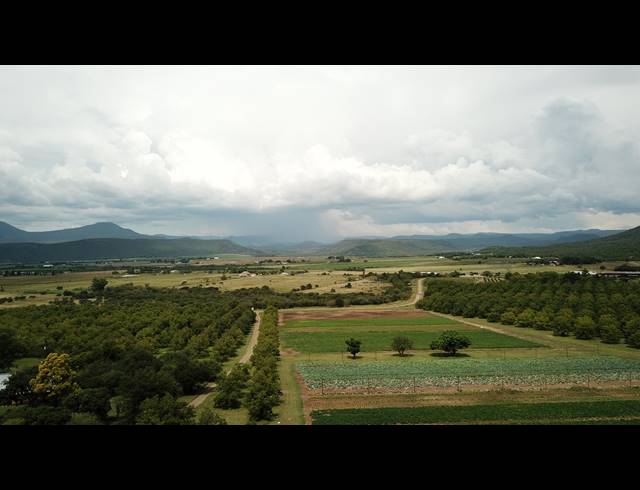 31HA FARM FOR SALE IN WEENEN